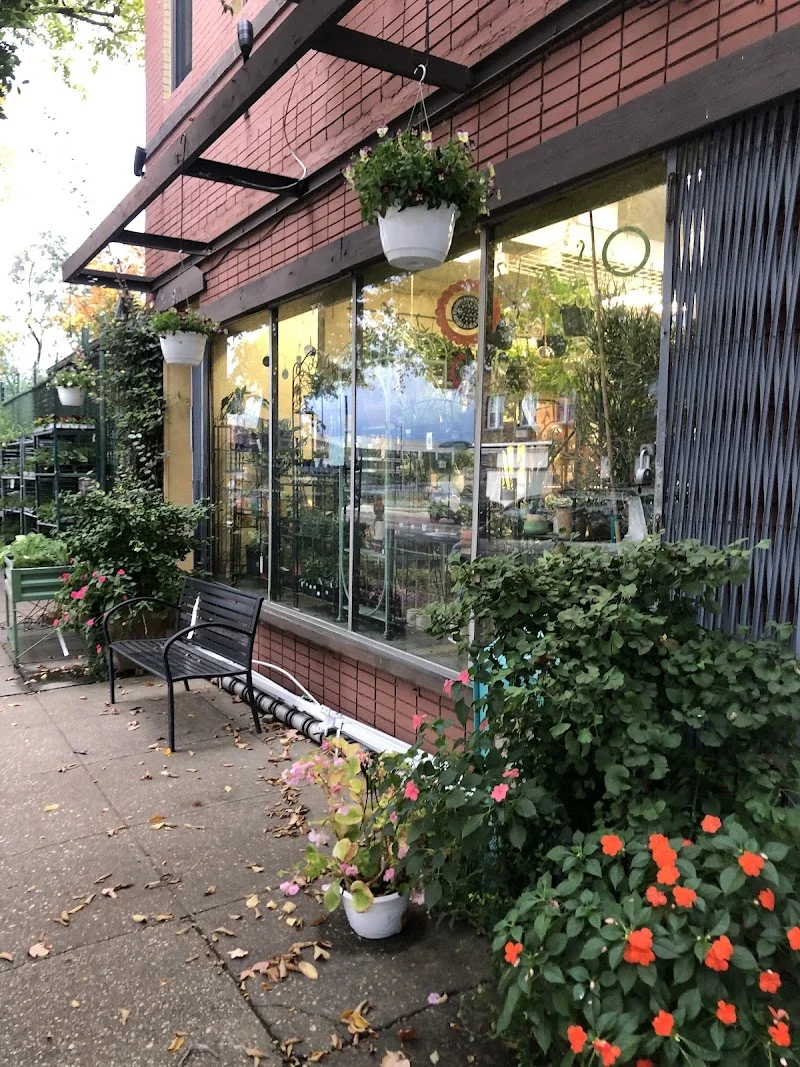 Ginkgo Gardens