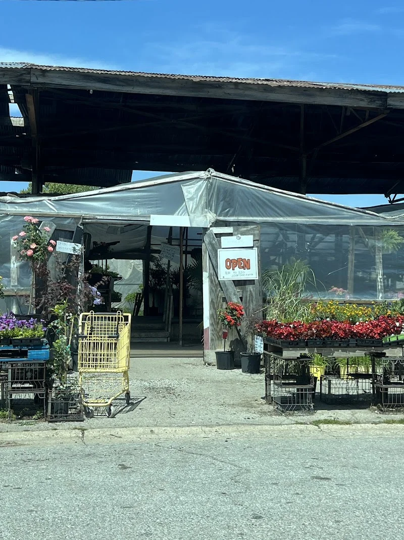 Pam's Plants