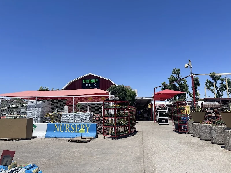 Eastside Discount Nursery
