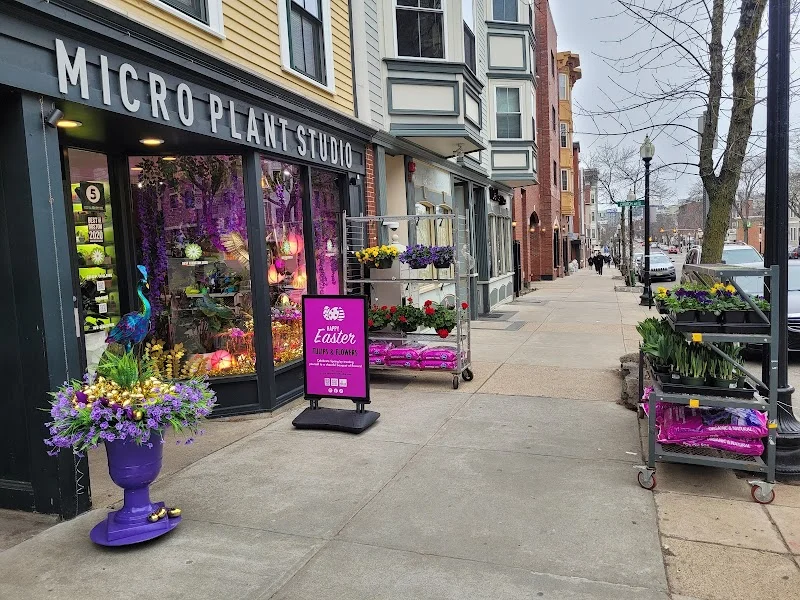 Micro Plant Studio & Florist