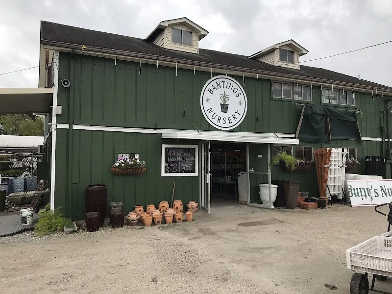 Banting's Nursery