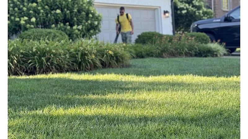 Diversified Lawn and Landscape