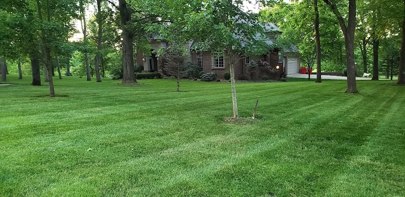 Superior Lawn and Landscape