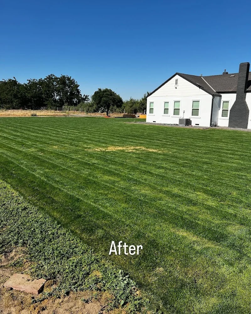 LawnStarter Lawn Care Service
