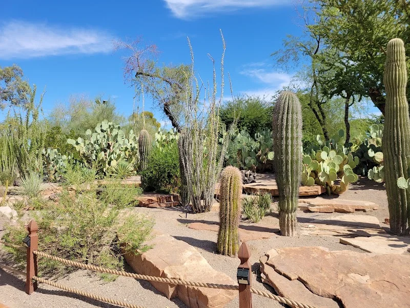 Ethel M Botanical Cactus Garden