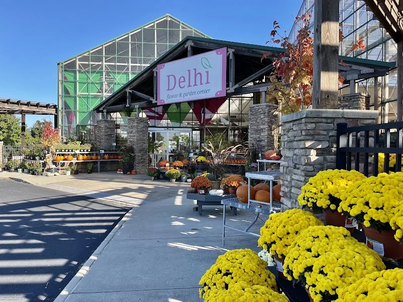 Delhi Flower & Garden Center