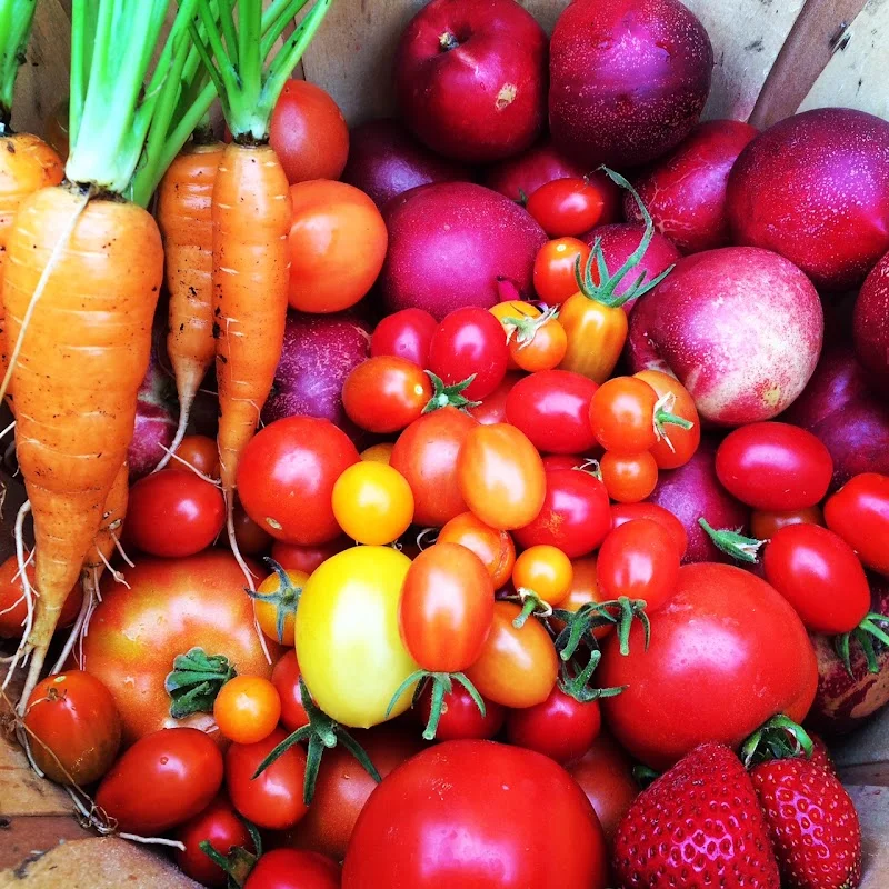 Harvest to Home - We Design, Install, & Maintain Organic Edible Gardens & Green Walls. Call to Schedule a Consultation.