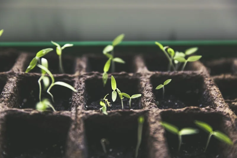 Winston-Salem Growers Choice Botanicals
