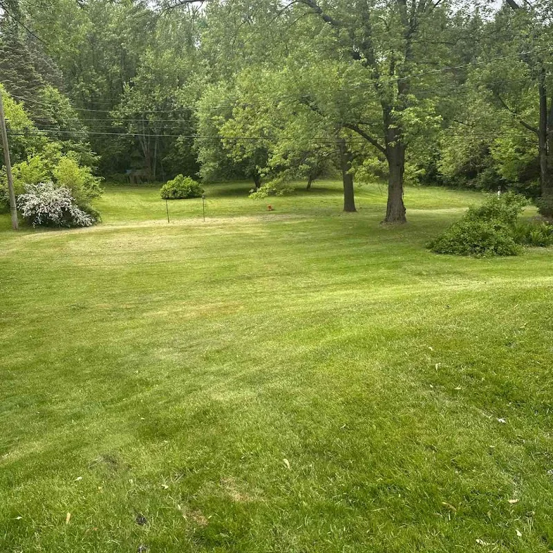 LawnStarter