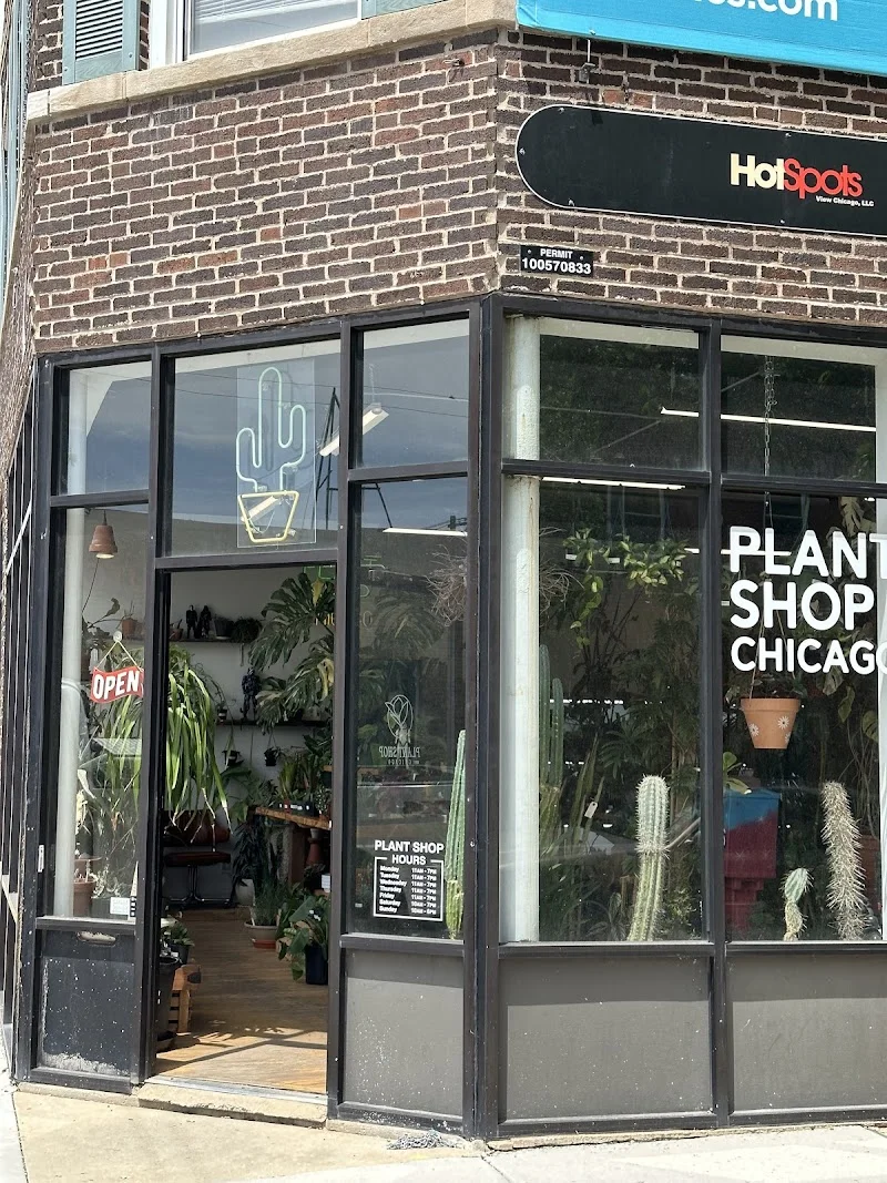 Plant Shop Chicago