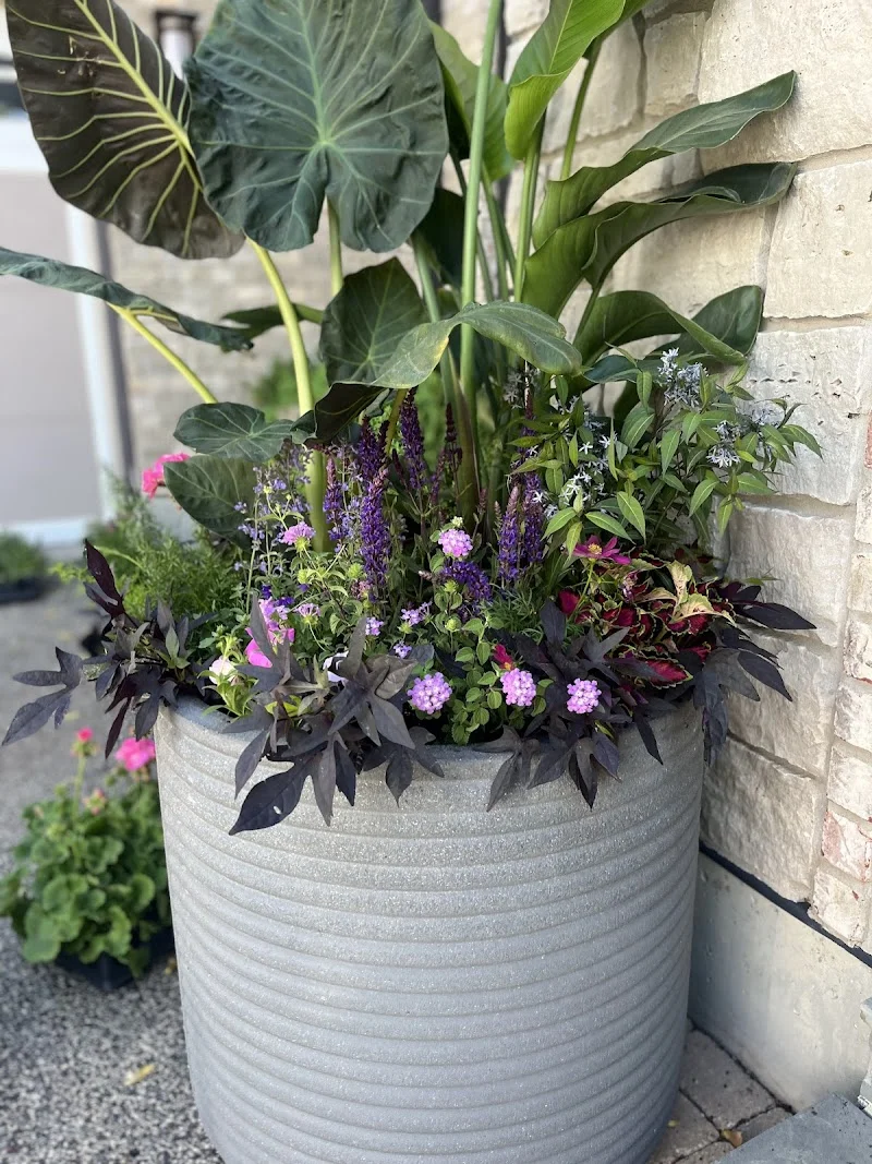 Chicago Plant Delivery