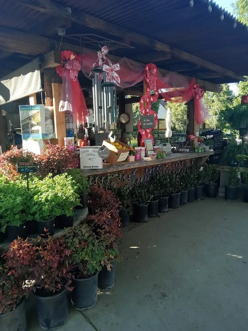 Whitfill Nursery