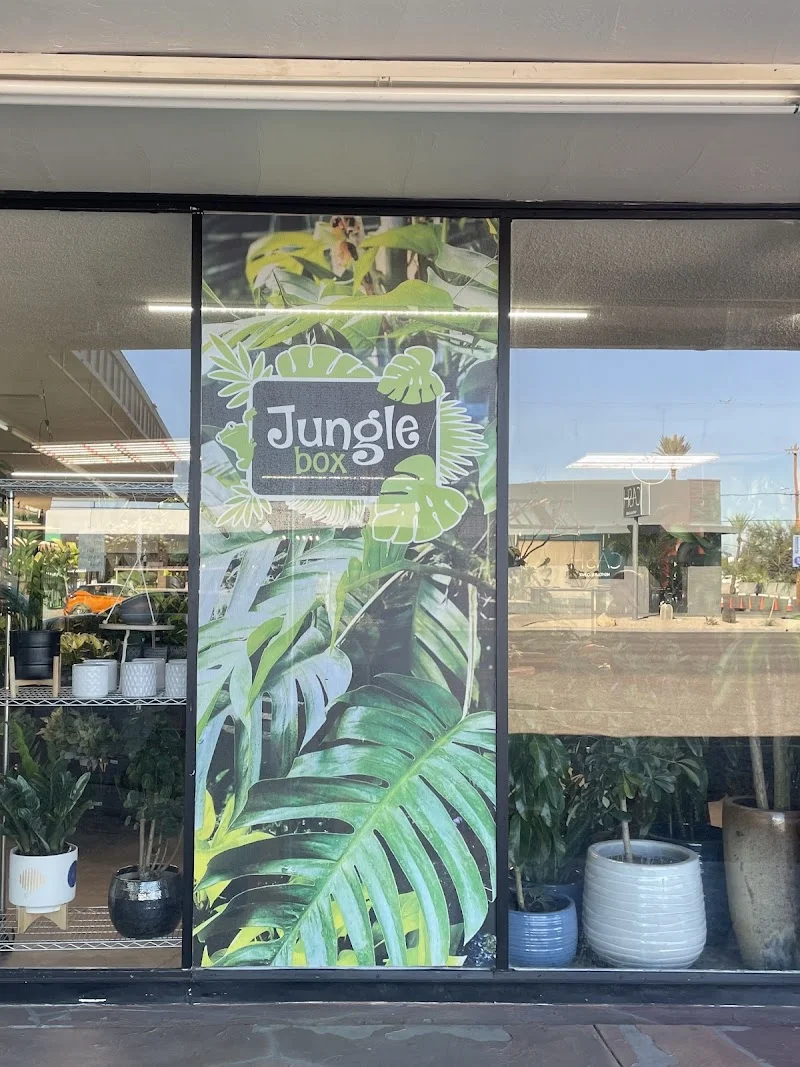 Jungle Box