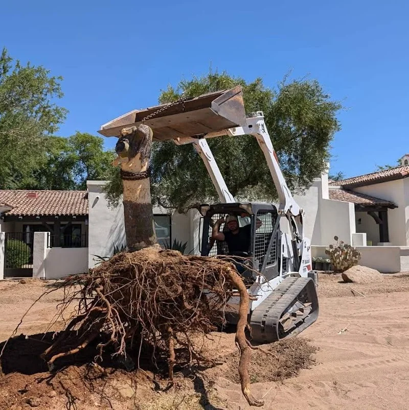 Desert Lawns of Arizona, LLC.