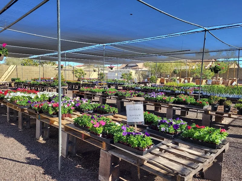 A & P Nursery