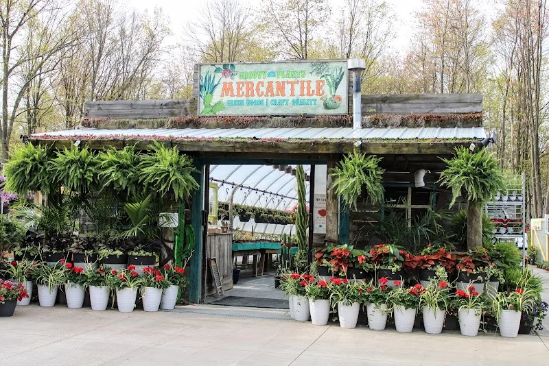 Groovy Plants Ranch