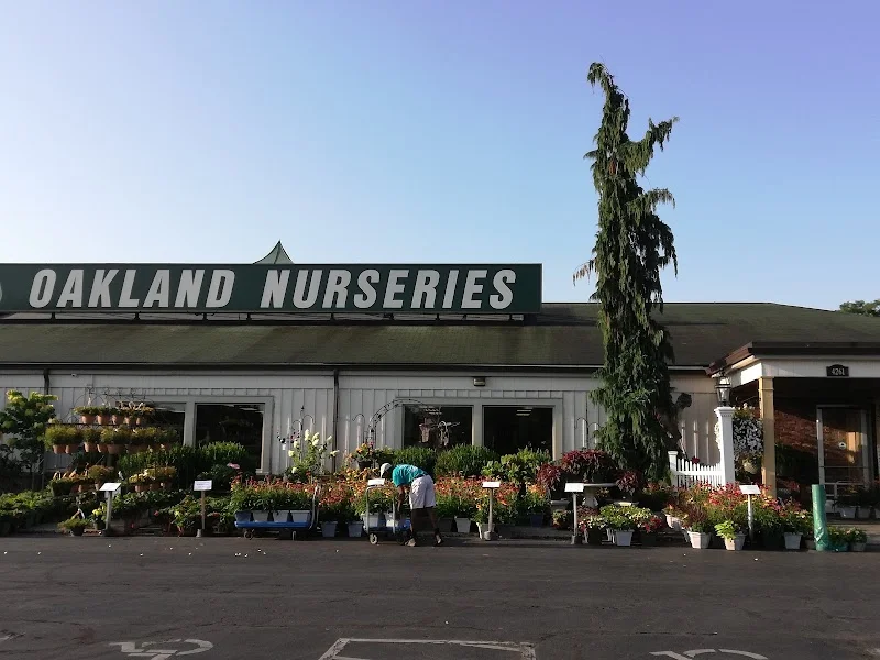 Oakland Nursery - Dublin