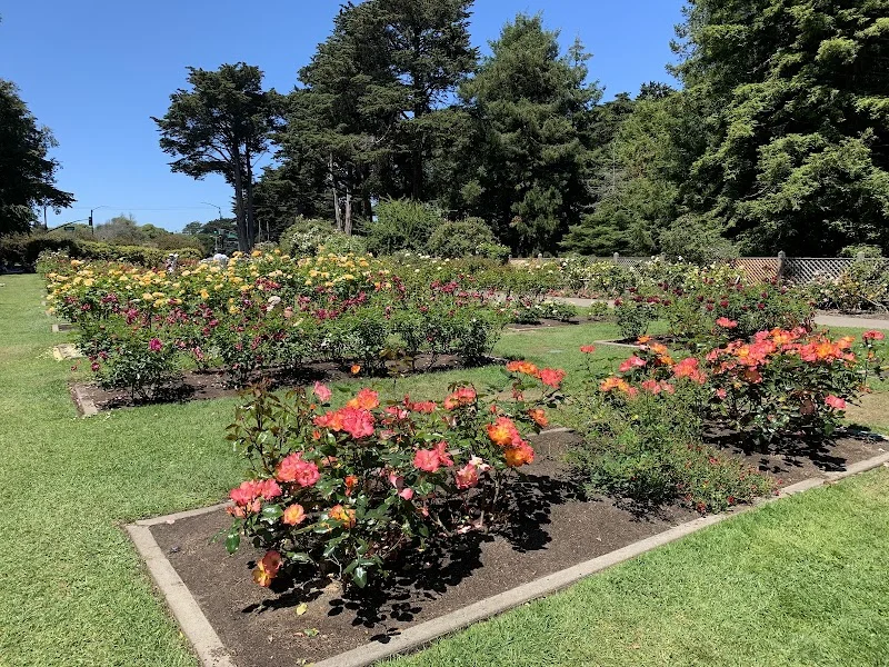 Rose Garden